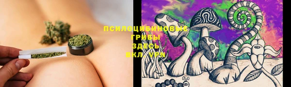 Альфа ПВП Новокубанск