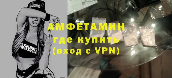 твердый Новозыбков