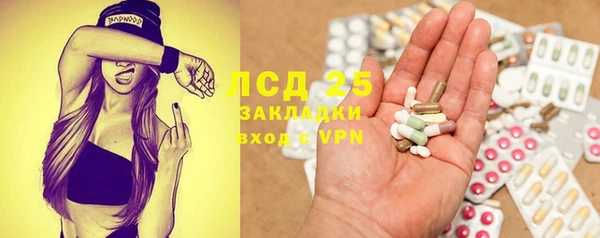 твердый Новозыбков
