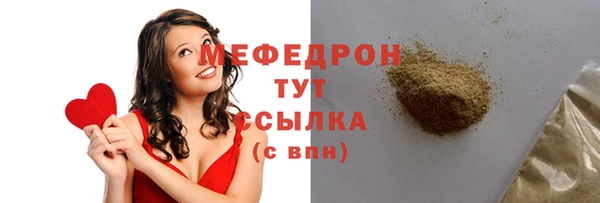 твердый Новозыбков
