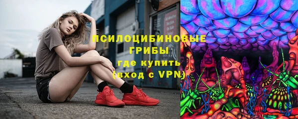 прущие грибы Нея
