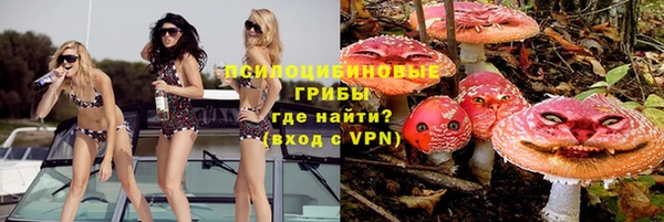 твердый Новозыбков