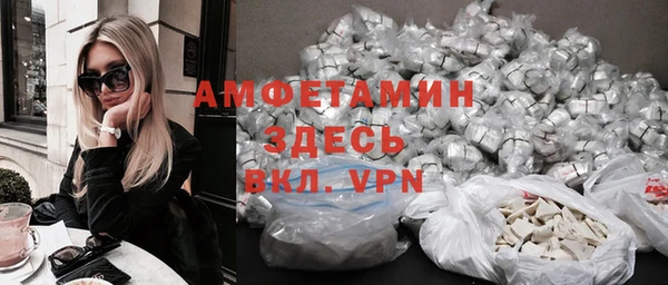 твердый Новозыбков