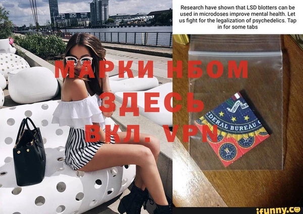 твердый Новозыбков