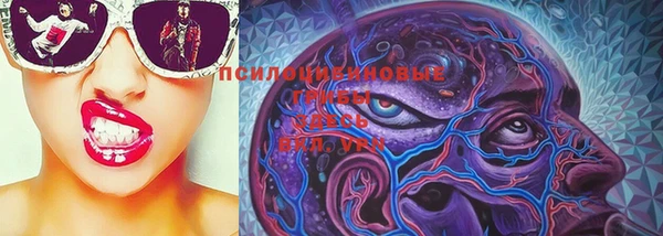 метадон Новодвинск
