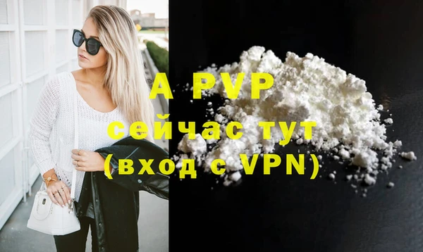 твердый Новозыбков