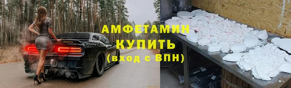 твердый Новозыбков